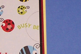 circle-cut-for-pull-tab-on-front.jpg