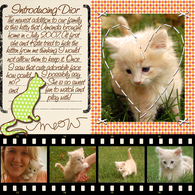 new-pet-digital-scrapbook-page-by-wishymom.jpg