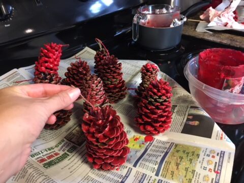 These are some of my wax-dipped pine cones drying on a piece of newspaper.