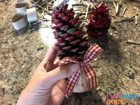 Since I had a few ribbons on hand, I added them to the base of some of my pine cone firestarters.
