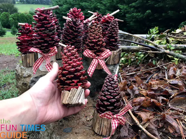 Pinecone Fire Starter with Beeswax – Acorn to Oak
