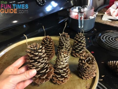 This wick tail is used to light the pine cone fire starter and it's helpful to grab onto when retrieving the pine cone out of the melted wax.